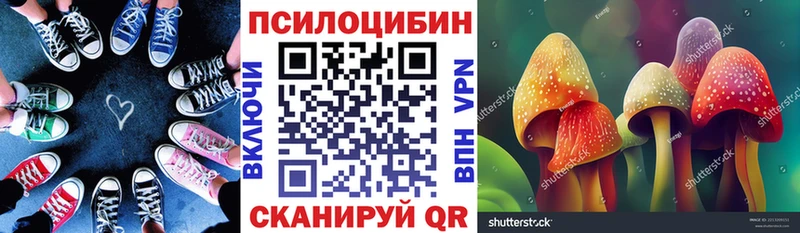 Галлюциногенные грибы мицелий  наркотики  blacksprut ссылка  Шебекино 
