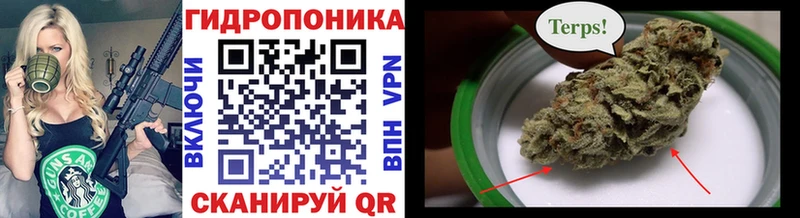 Бошки марихуана конопля  Шебекино 